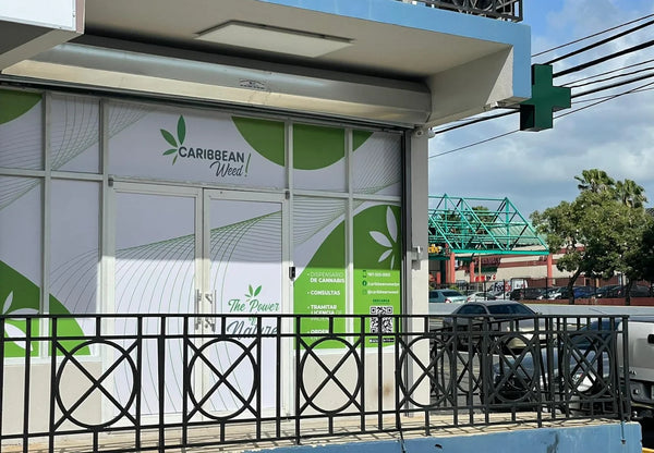 Caribbean Weed
